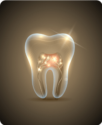 Bow Trail SW Root Canal Therapy | Nova Dental Care | General & Family Dentist | Bow Trail | SW Calgary